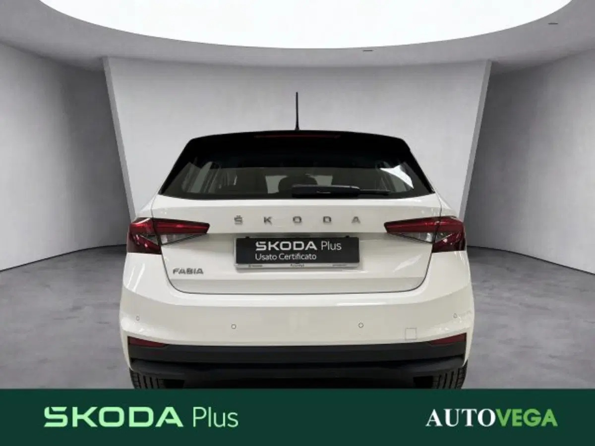 Skoda Fabia usata a Vicenza (5)