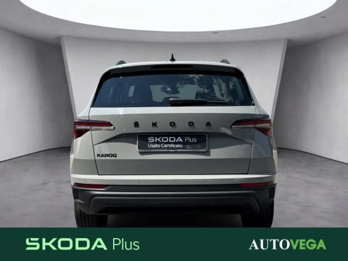 Skoda Karoq usata a Vicenza (5)