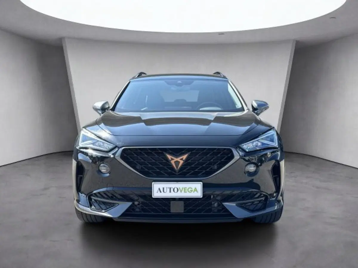 Cupra Formentor usata a Vicenza (2)