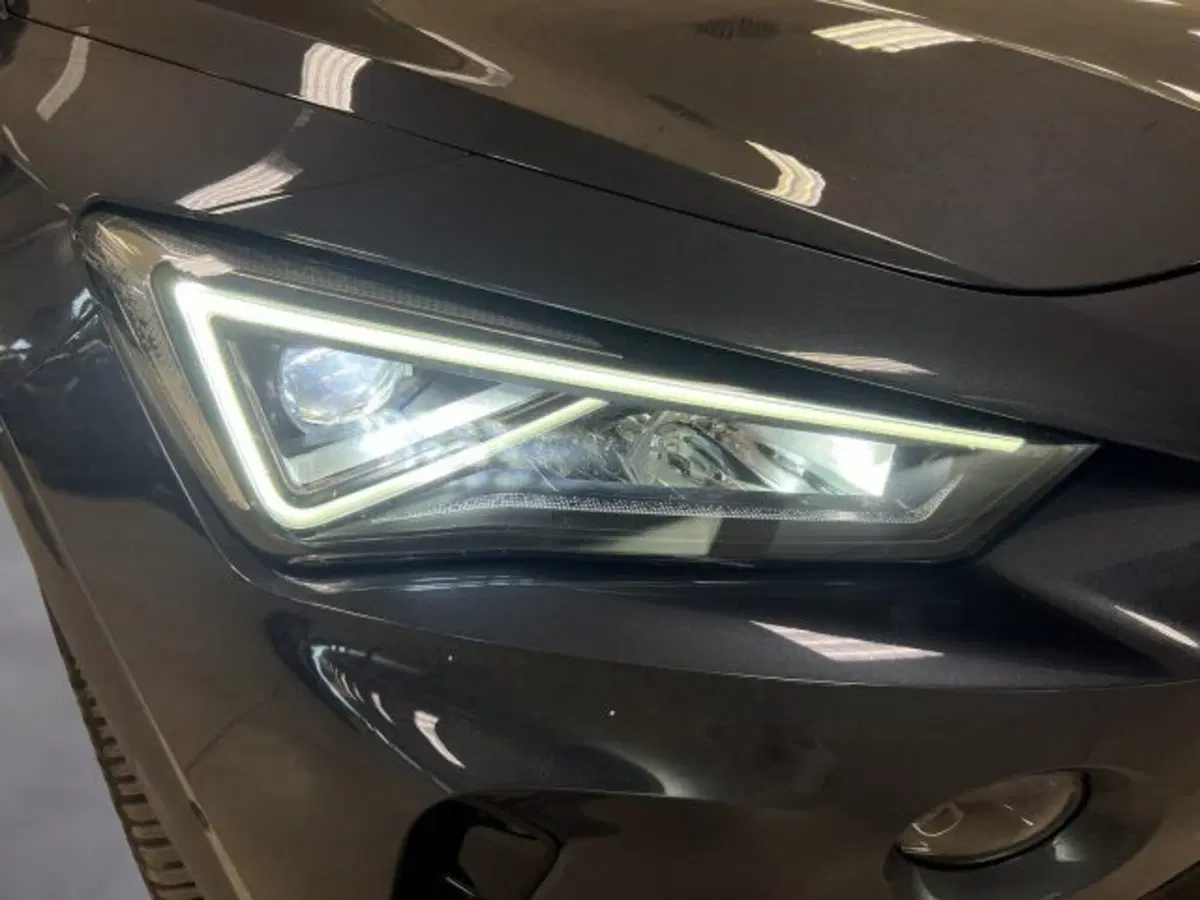 Cupra Formentor usata a Vicenza (19)