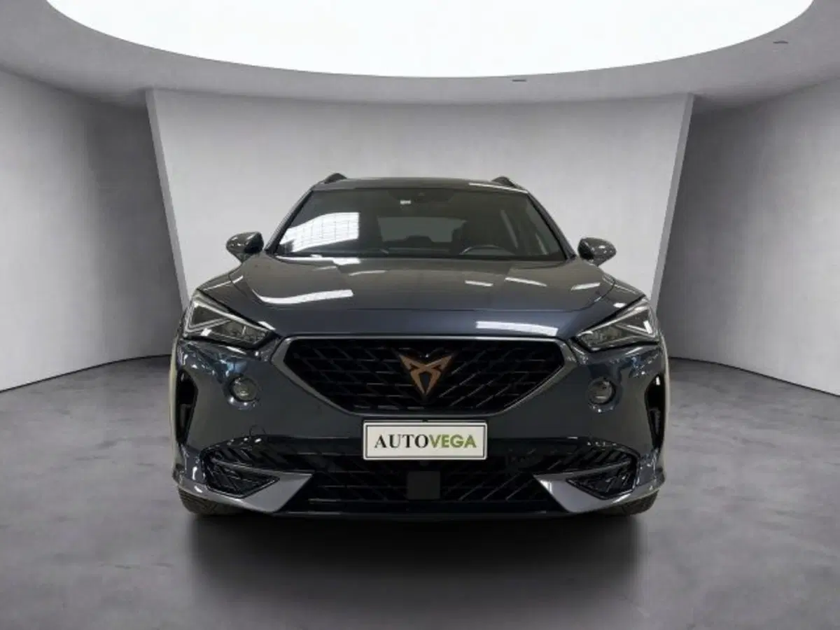 Cupra Formentor usata a Vicenza (2)