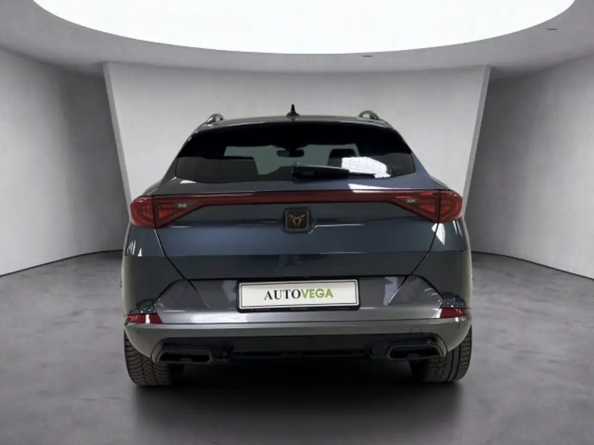 Cupra Formentor usata a Vicenza (5)