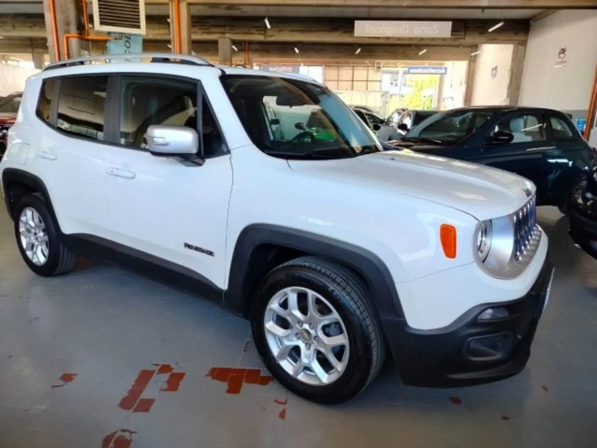 Jeep Renegade usata a Forlì-Cesena (5)
