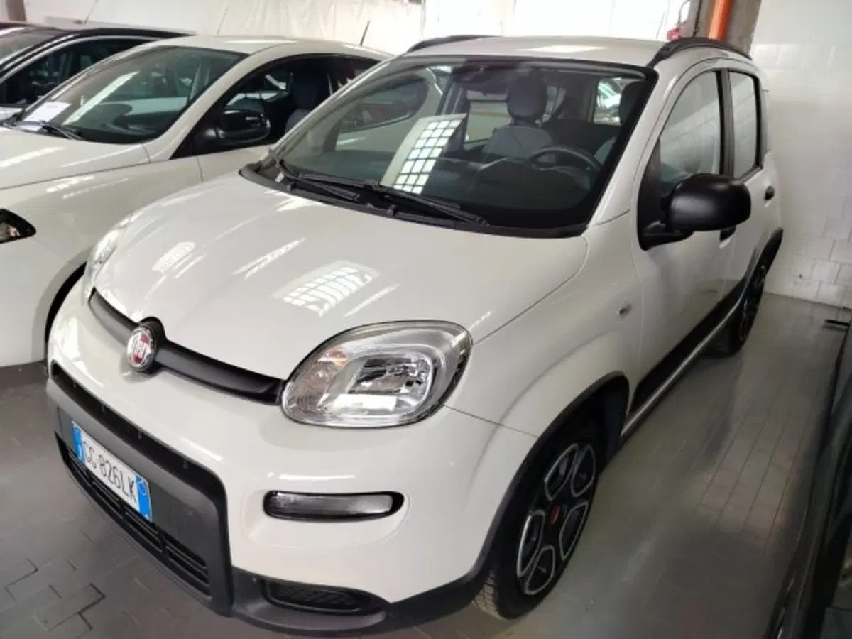 Fiat Panda Cross usata a Forlì-Cesena (10)