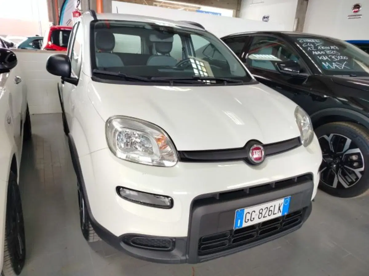 Fiat Panda Cross usata a Forlì-Cesena (2)
