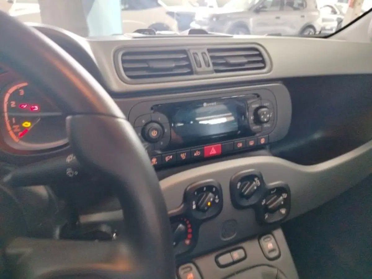 Fiat Panda Cross usata a Forlì-Cesena (20)