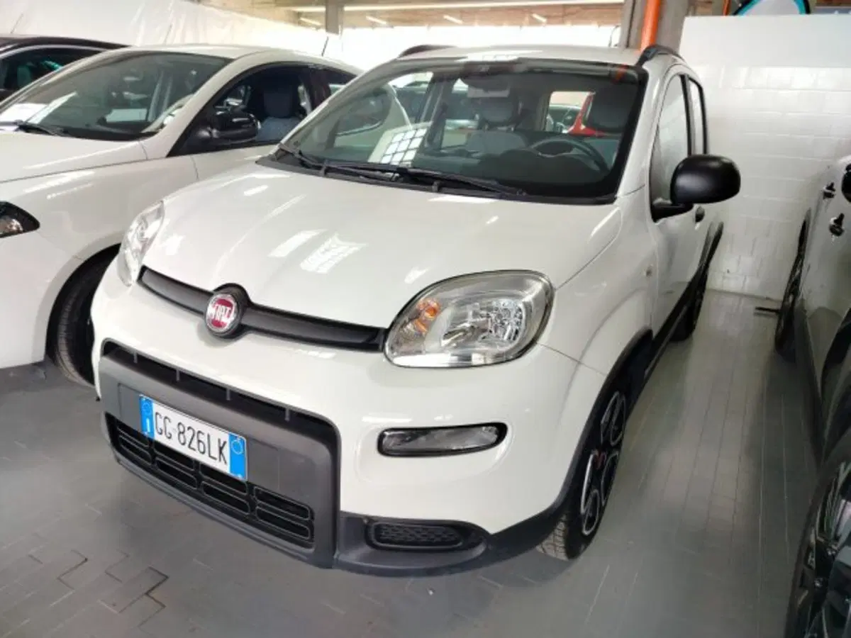 Fiat Panda Cross usata a Forlì-Cesena (9)