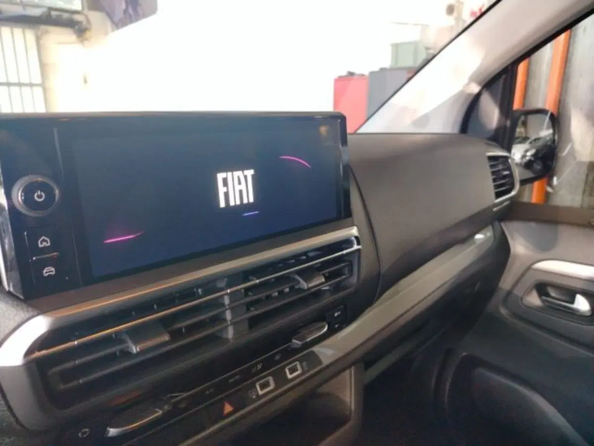 Fiat Ulysse usata a Forlì-Cesena (20)