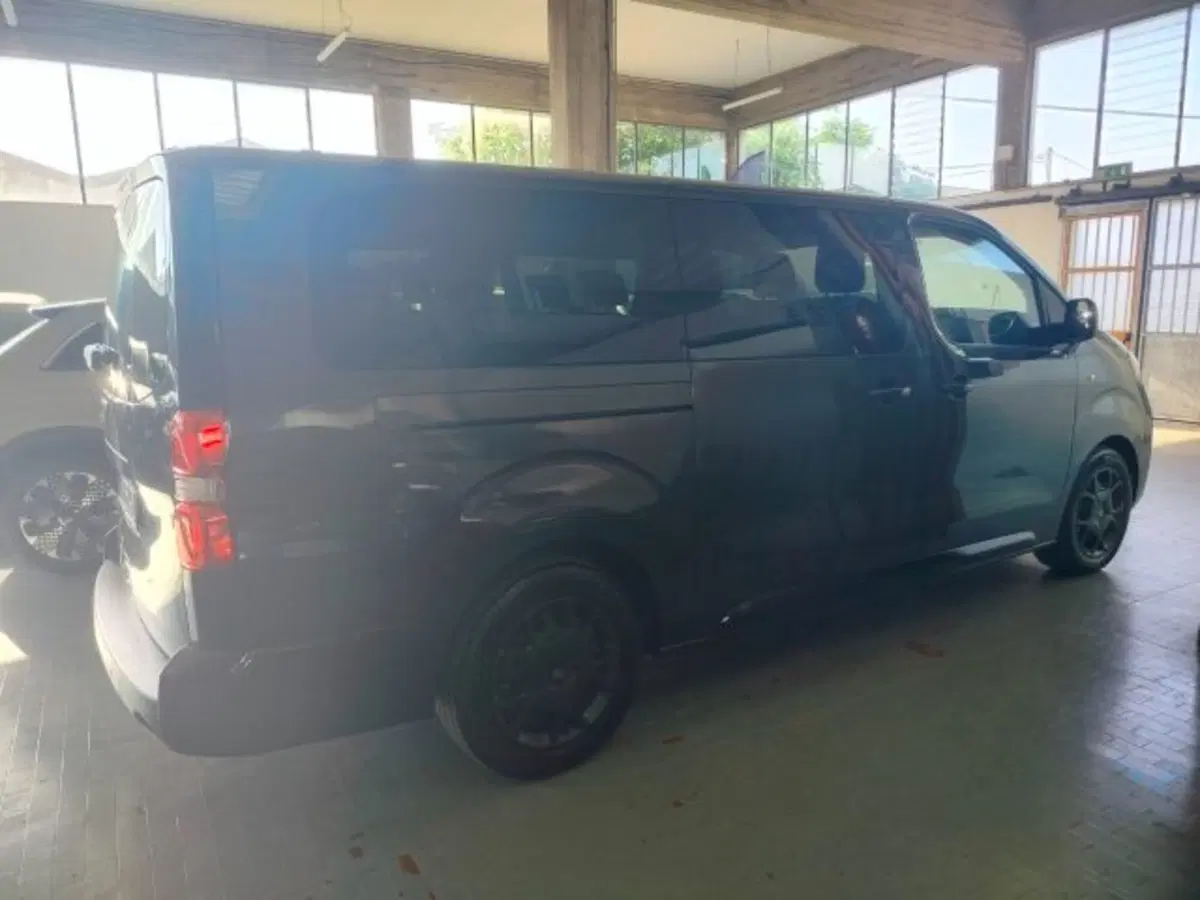 Fiat Ulysse usata a Forlì-Cesena (7)