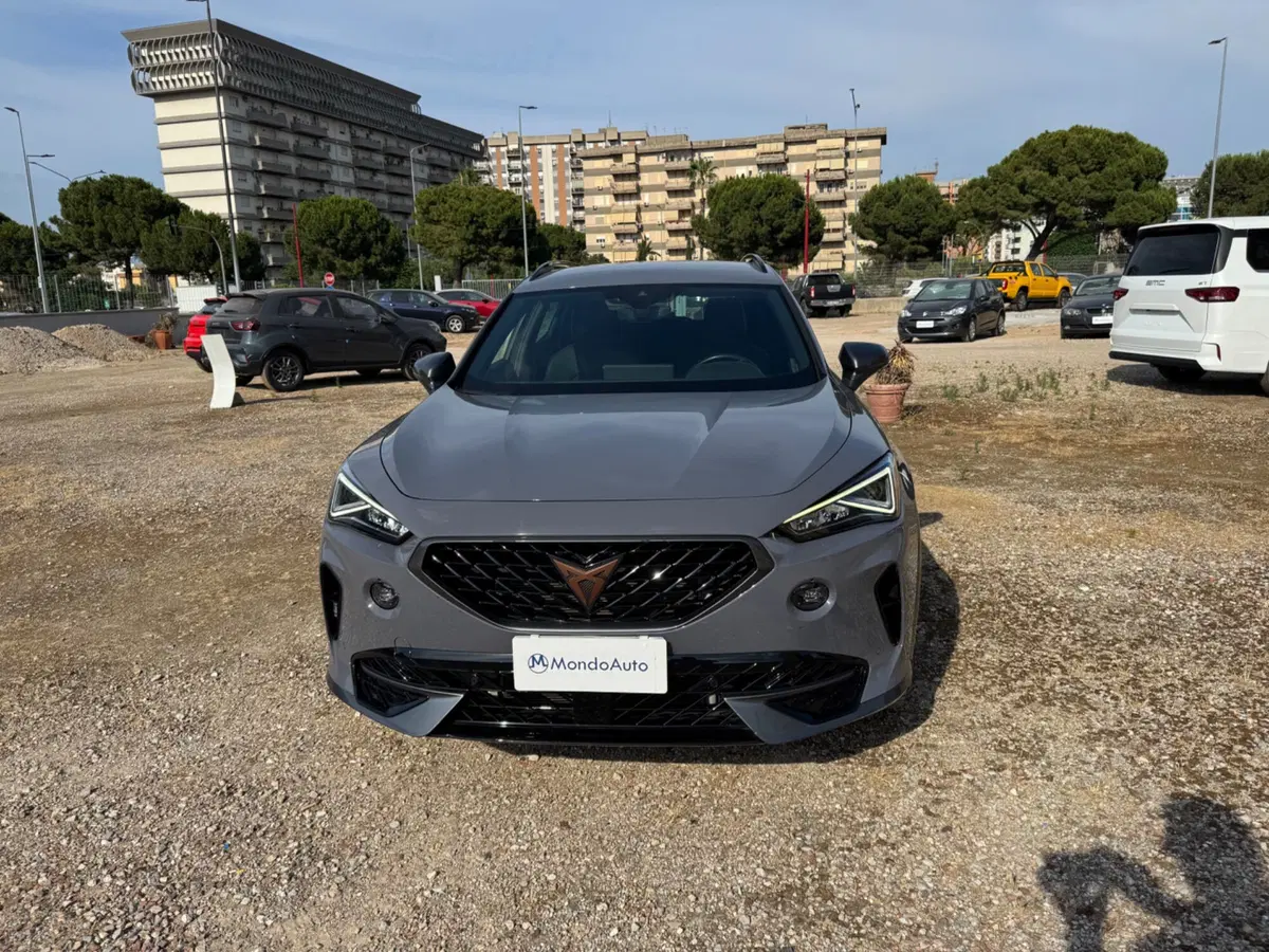 Cupra Formentor usata a Palermo (2)
