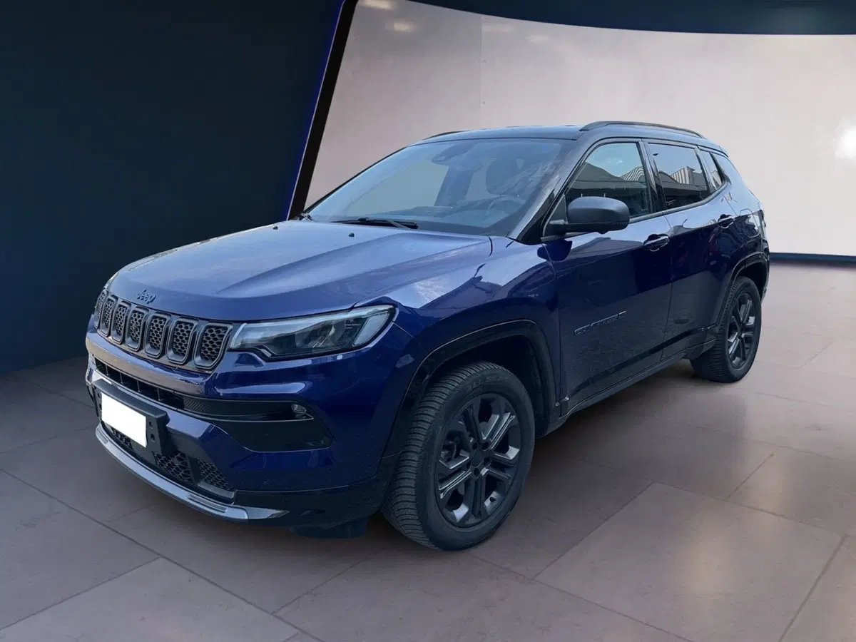Jeep Compass usata a Torino (2)