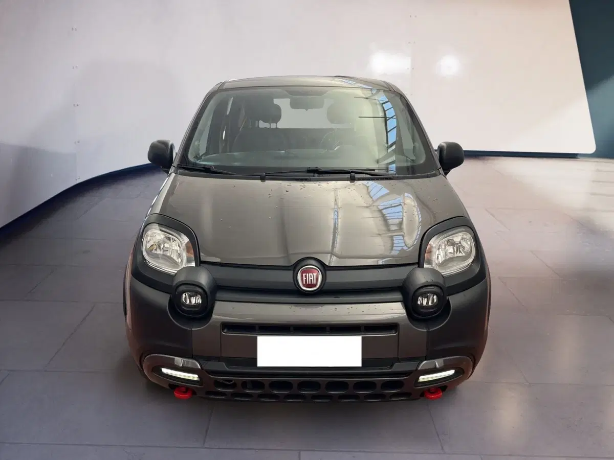 Fiat Panda usata a Torino