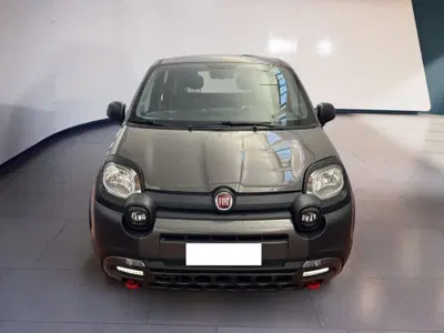 Fiat Panda 1.0 FireFly S&amp;S Hybrid City Cross del 2022 usata a Torino