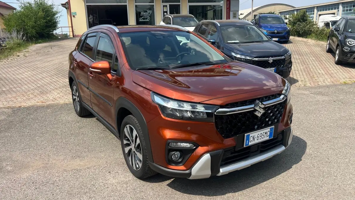 Suzuki S-Cross usata a Alessandria (3)