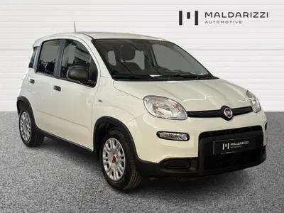 Fiat Panda 1.0 firefly hybrid s&amp;s 70cv 5p.ti del 2024 usata a Bari