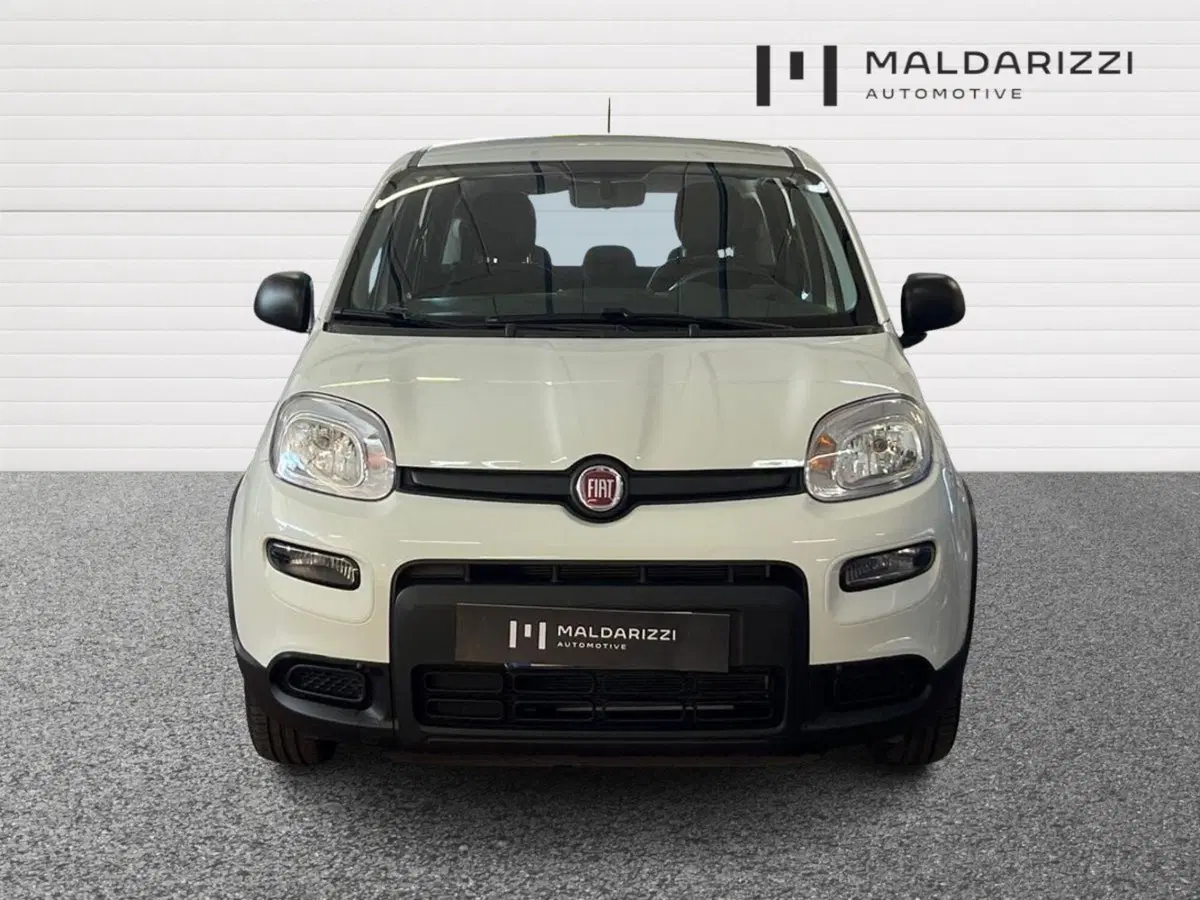 Fiat Panda usata a Bari (2)