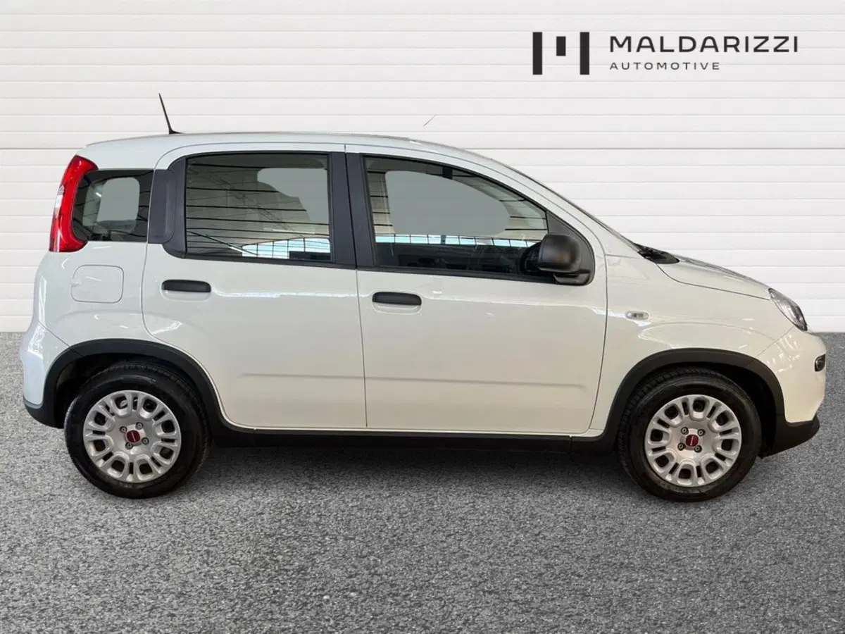Fiat Panda usata a Bari (5)