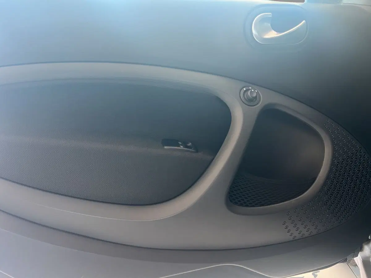 smart Fortwo usata a Cosenza (12)