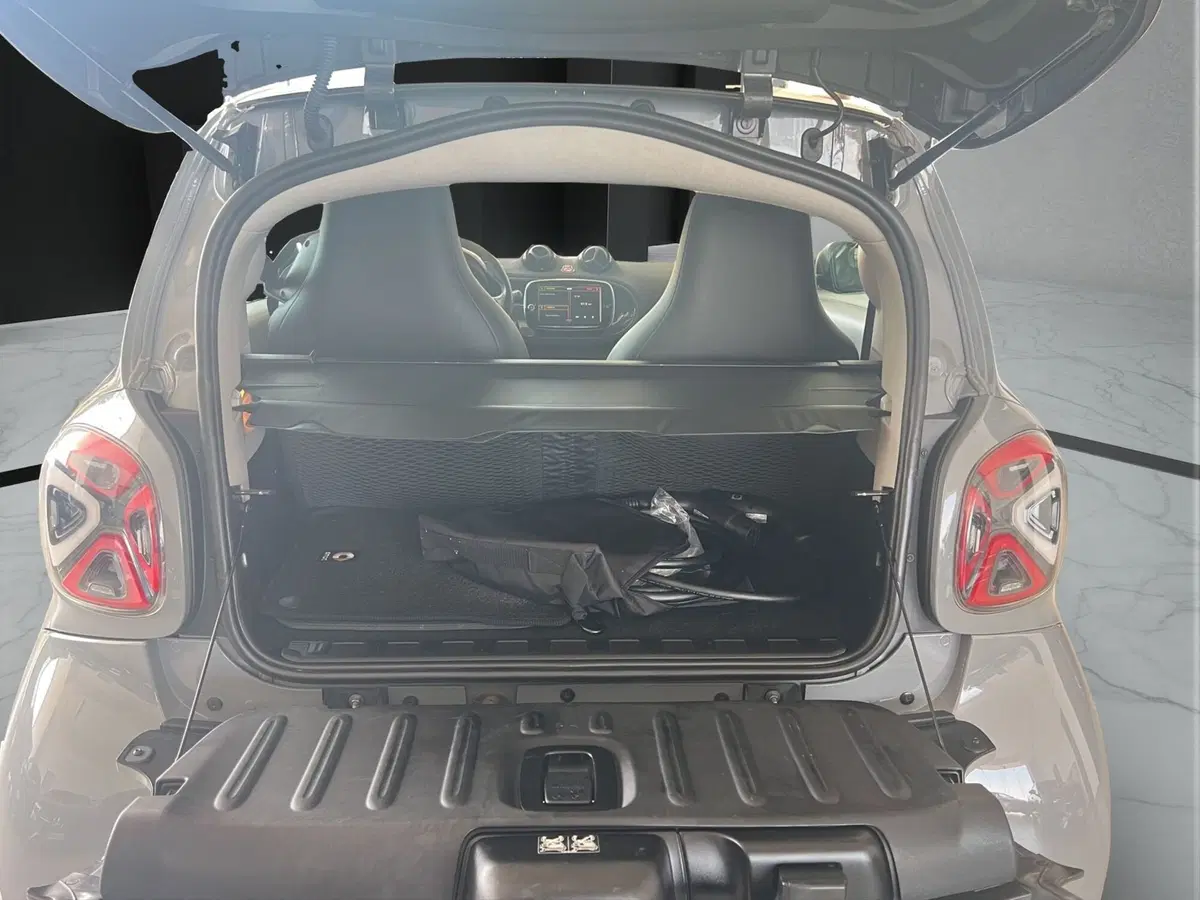 smart Fortwo usata a Cosenza (18)