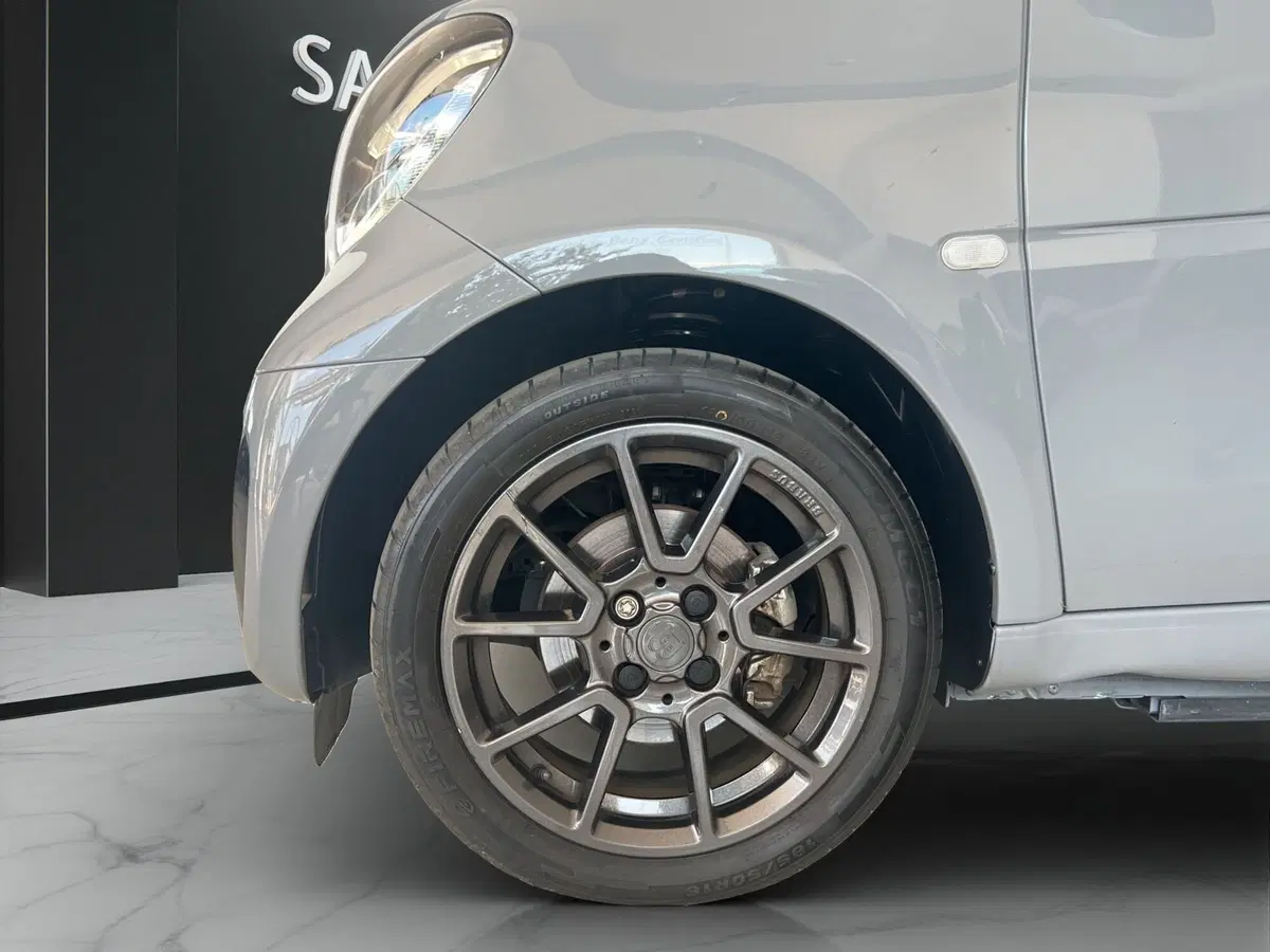 smart Fortwo usata a Cosenza (19)