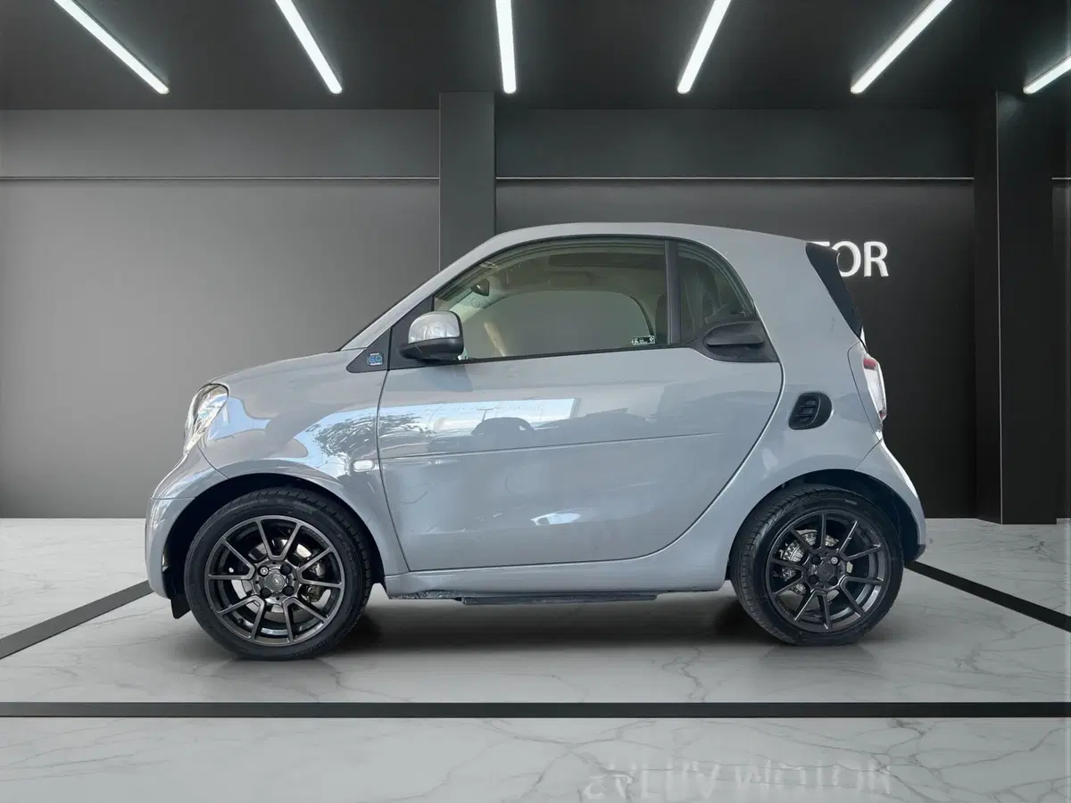 smart Fortwo usata a Cosenza (3)