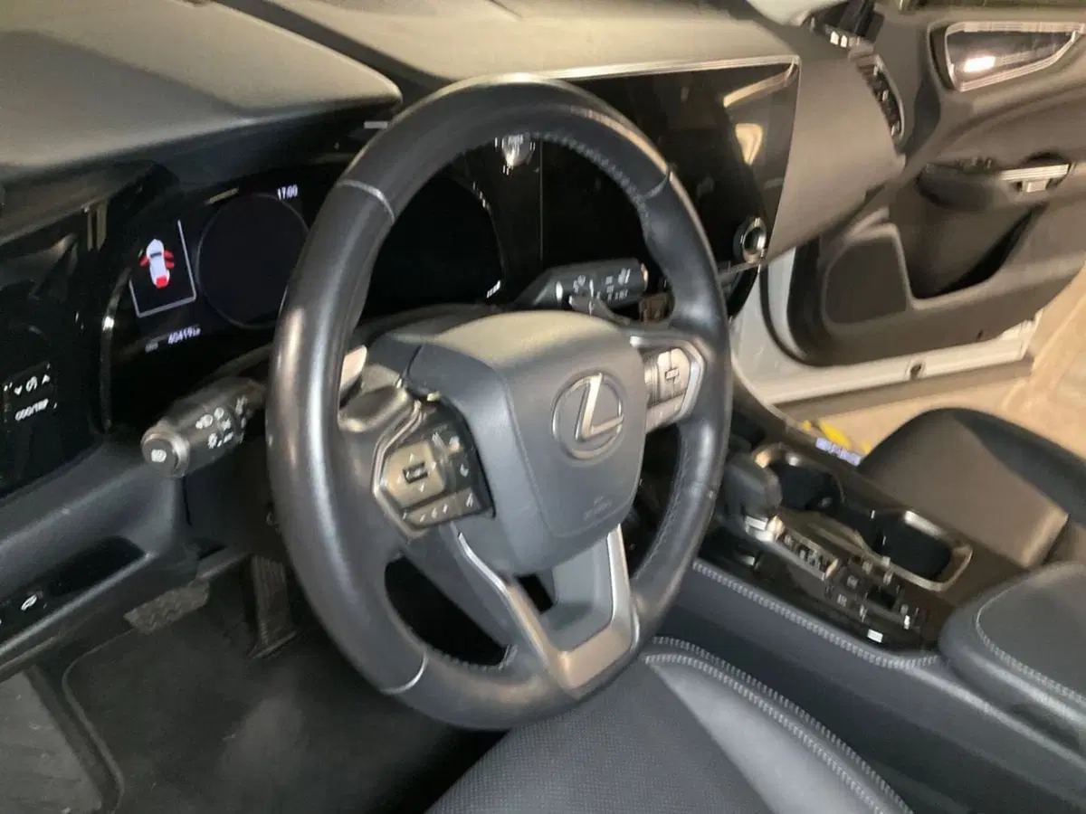 Lexus NX usata a Como (12)