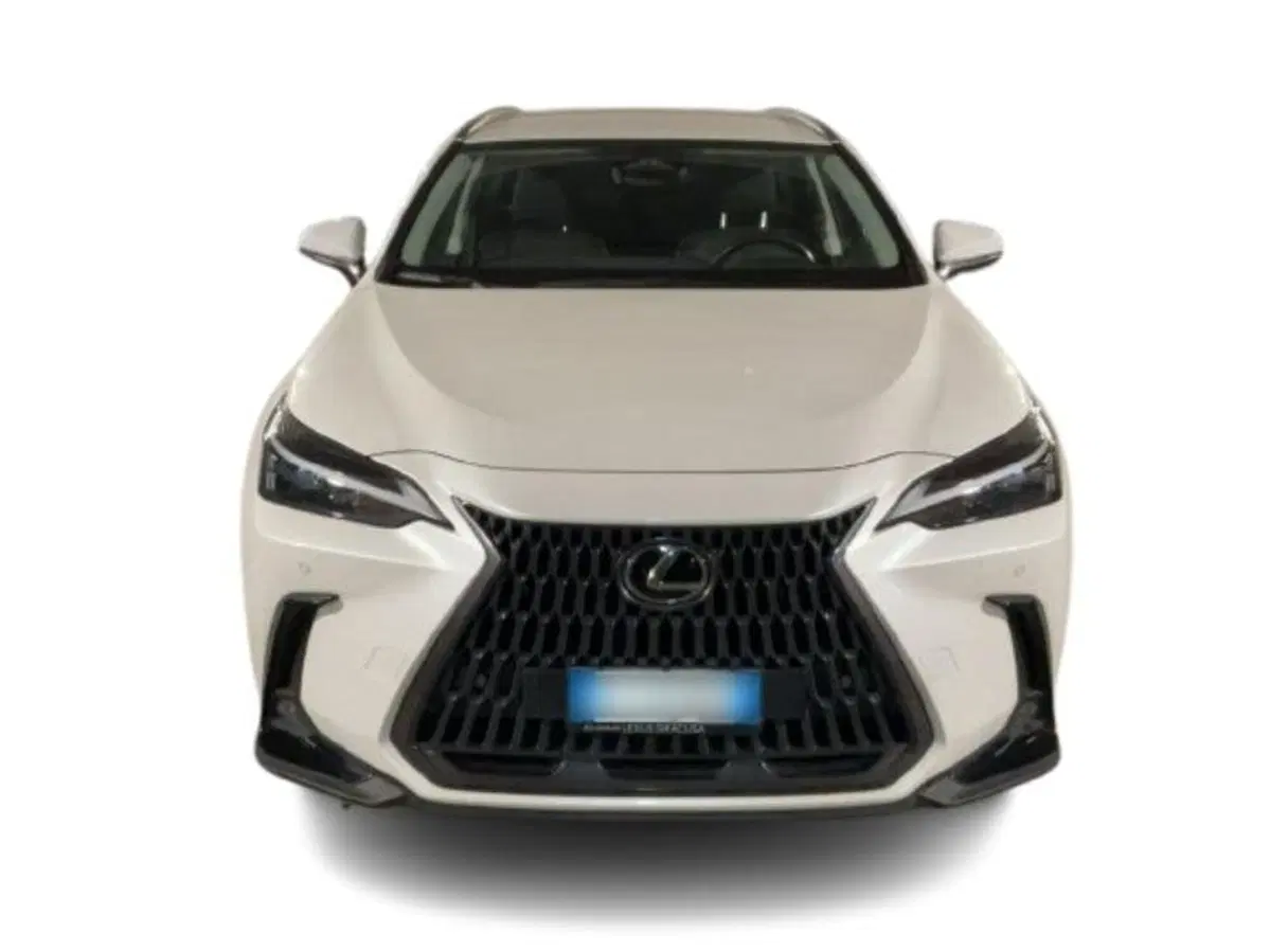 Lexus NX usata a Como (2)
