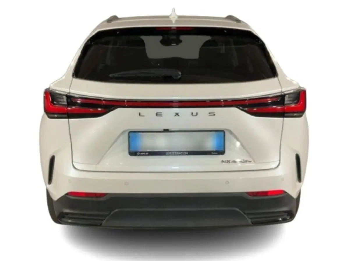 Lexus NX usata a Como (3)