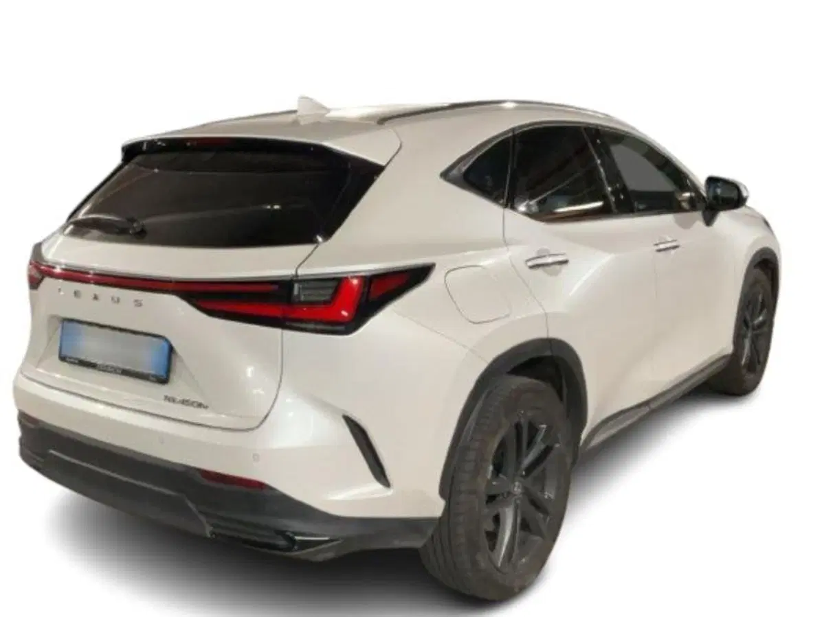 Lexus NX usata a Como (4)