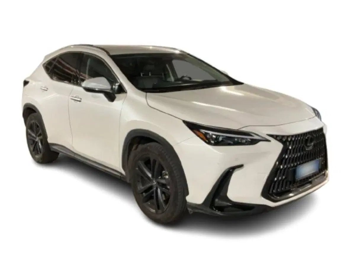 Lexus NX usata a Como (5)