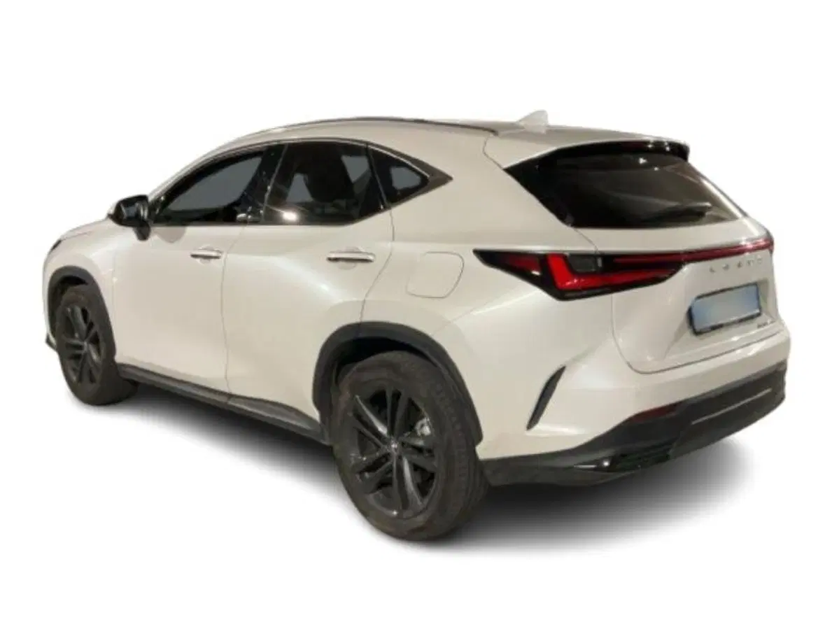 Lexus NX usata a Como (6)