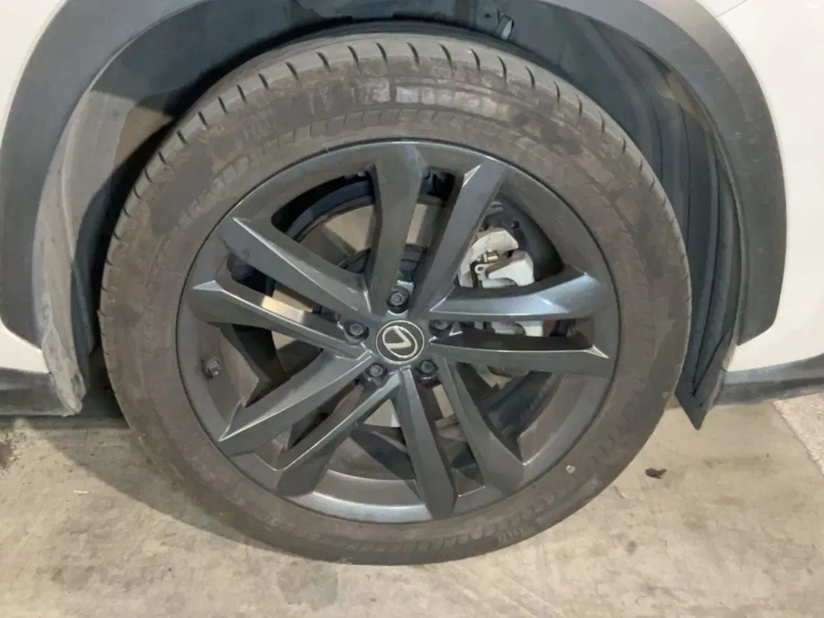 Lexus NX usata a Como (7)