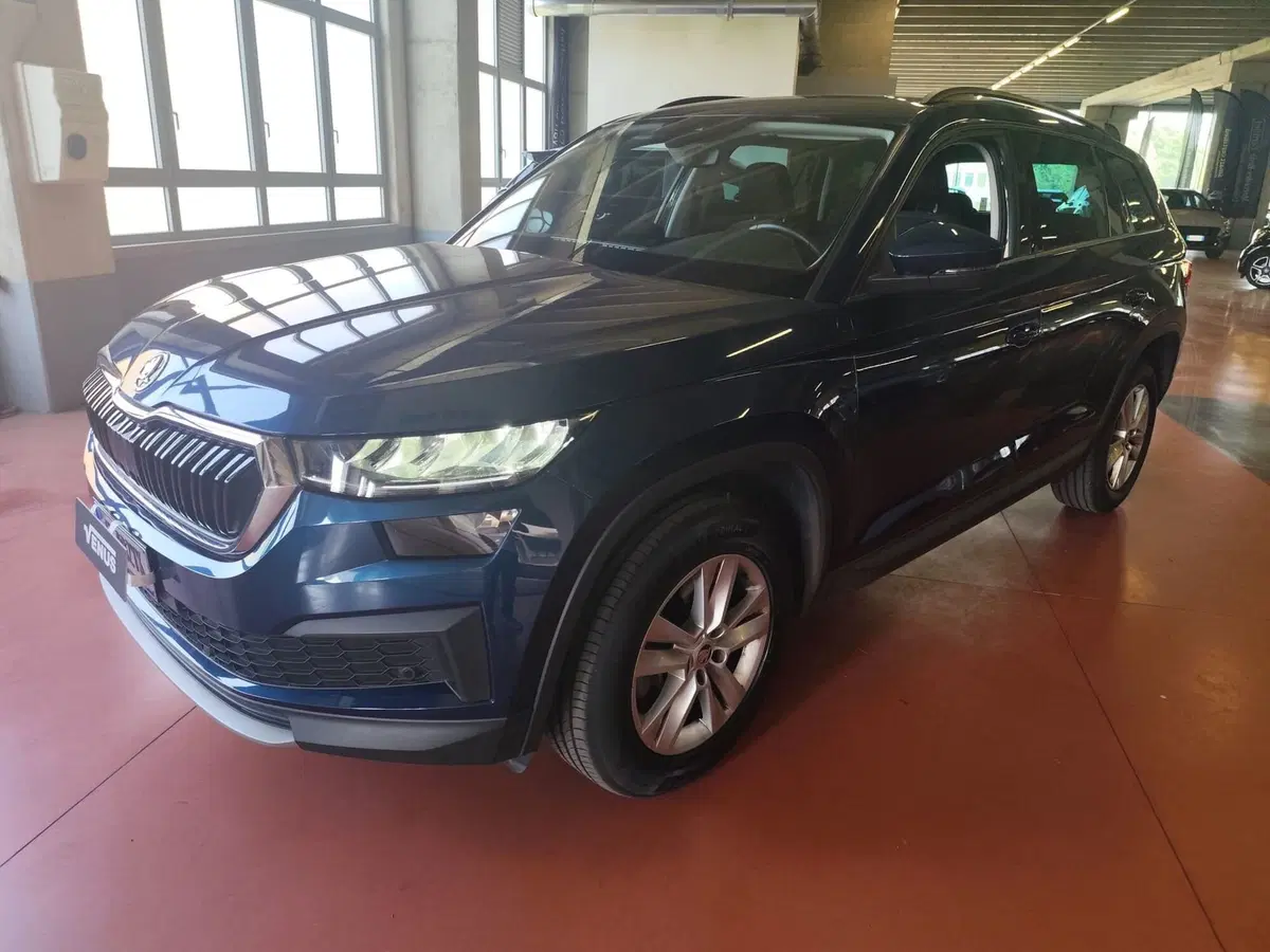 Skoda Kodiaq usata a Milano (2)