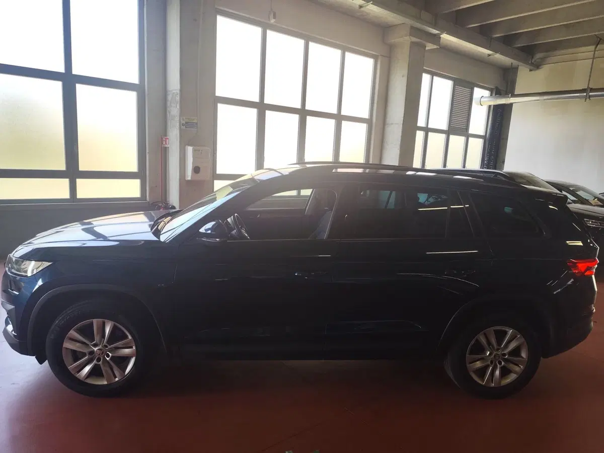 Skoda Kodiaq usata a Milano (3)
