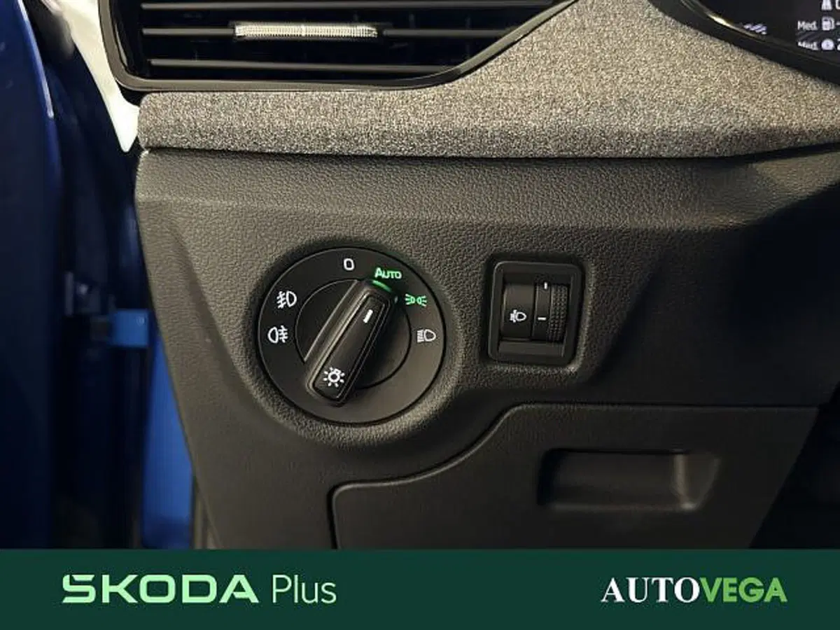 Skoda Kamiq usata a Vicenza (16)