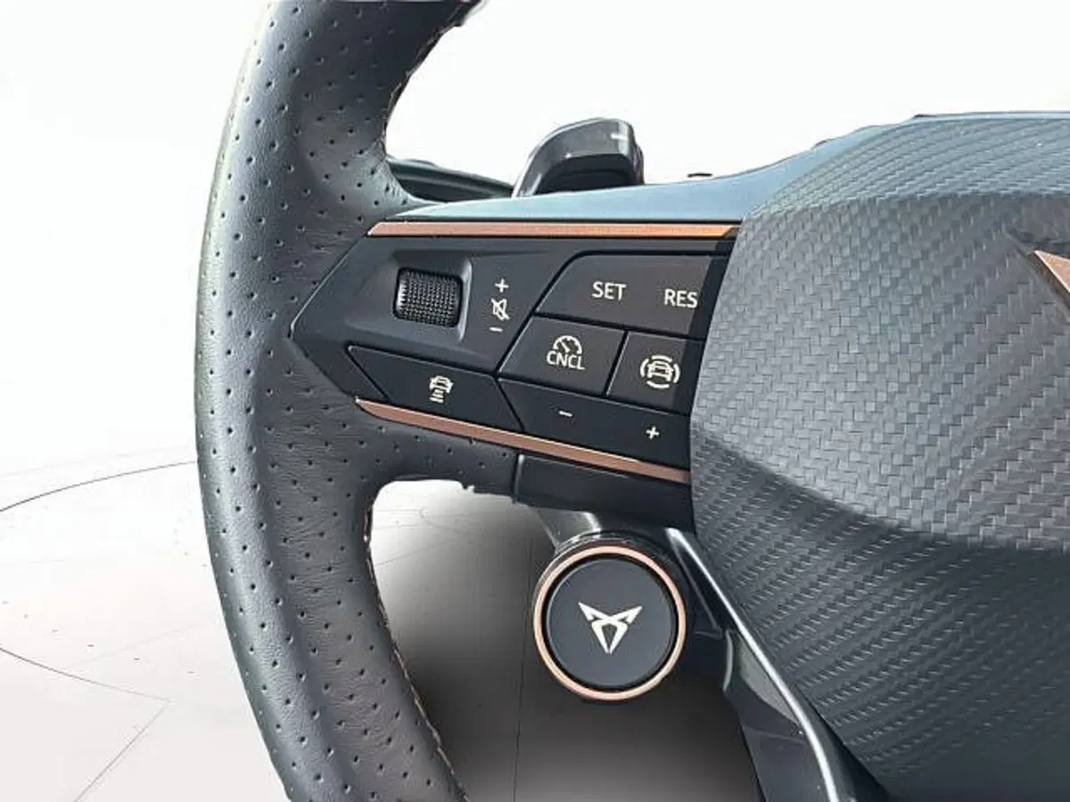 Cupra Terramar usata a Vicenza (19)