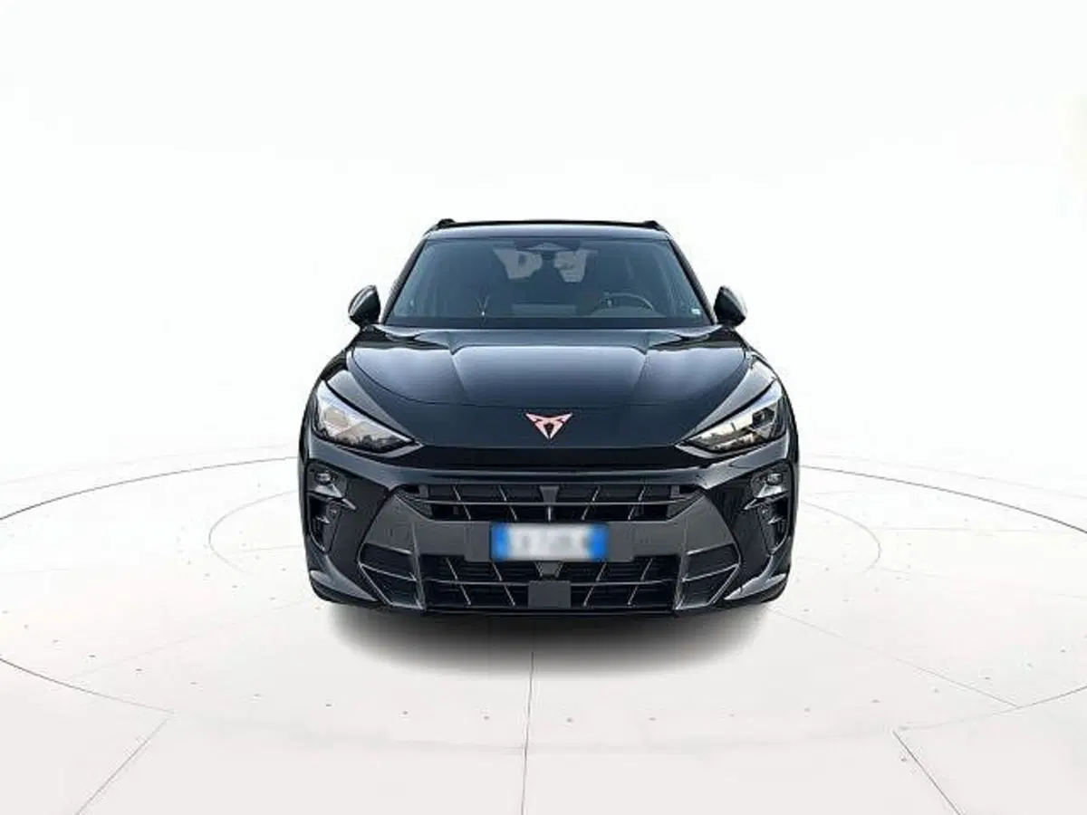 Cupra Terramar usata a Vicenza (2)