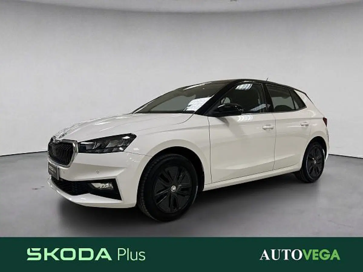 Skoda Fabia usata a Vicenza