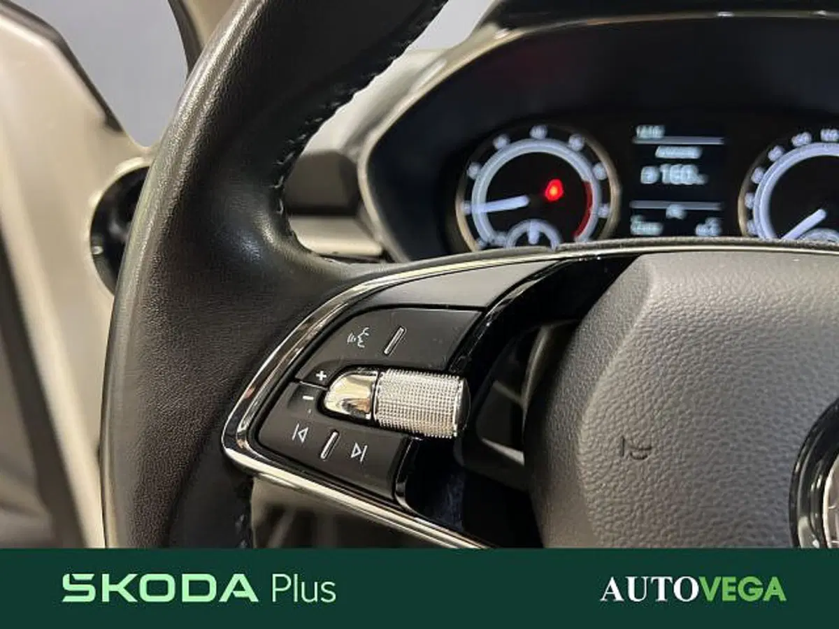 Skoda Fabia usata a Vicenza (16)