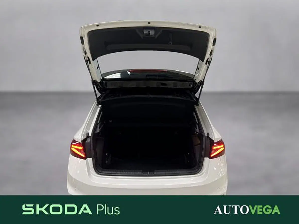 Skoda Fabia usata a Vicenza (17)