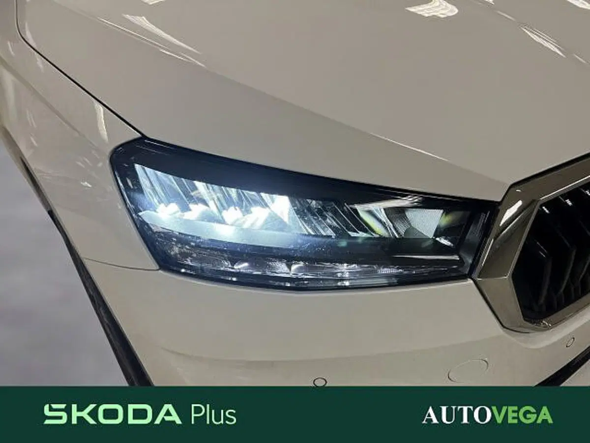 Skoda Fabia usata a Vicenza (19)