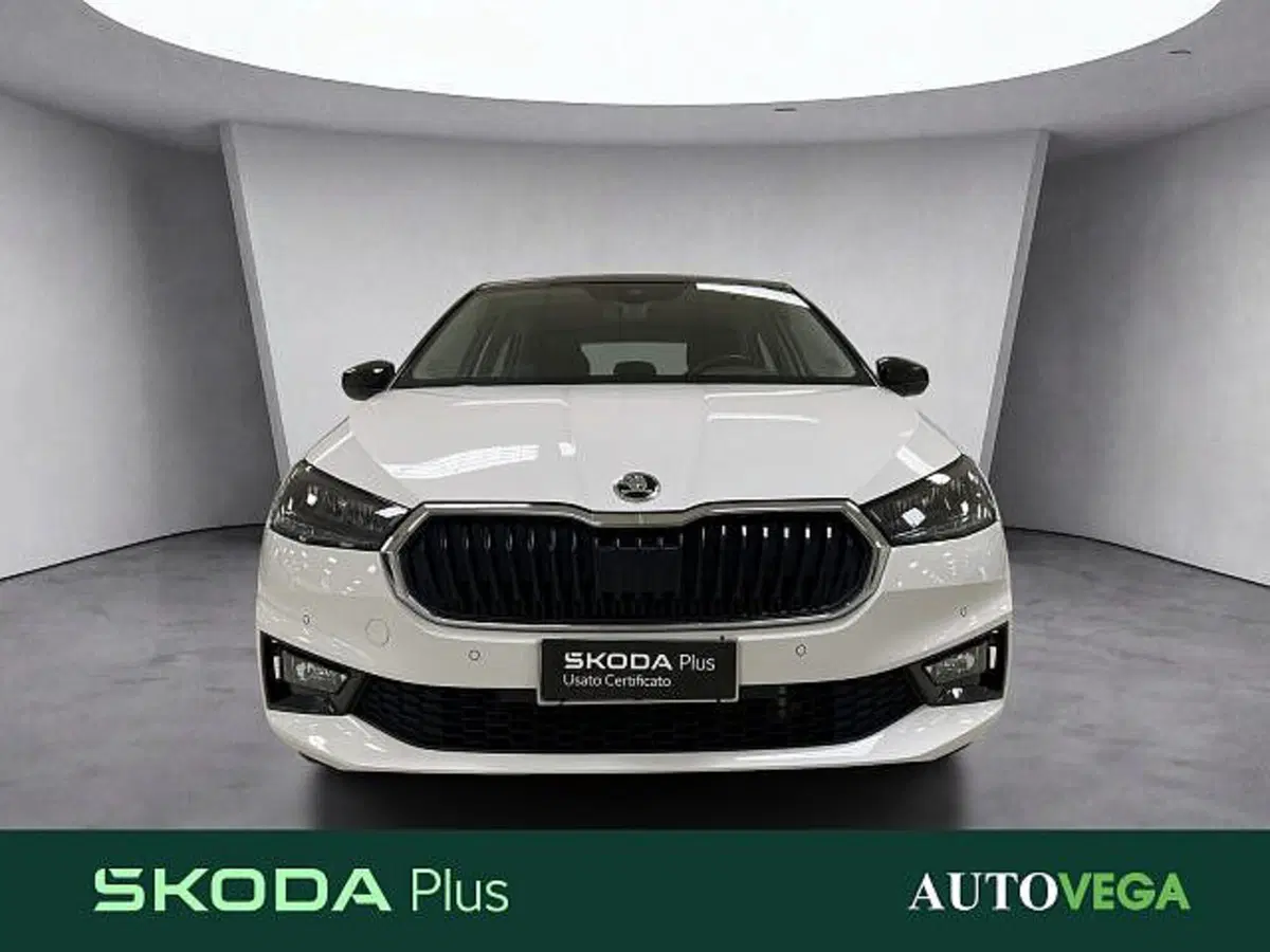 Skoda Fabia usata a Vicenza (2)