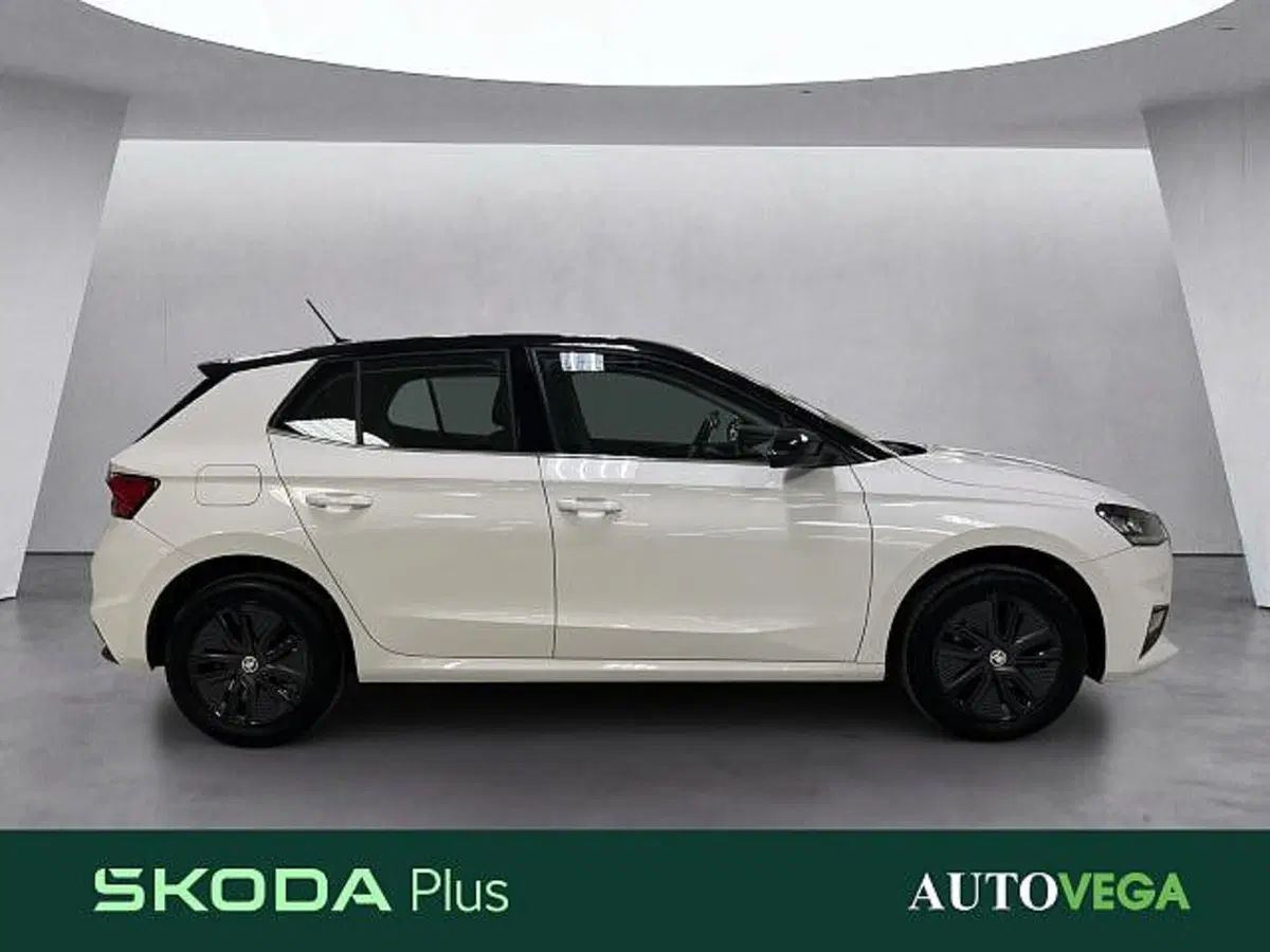 Skoda Fabia usata a Vicenza (3)