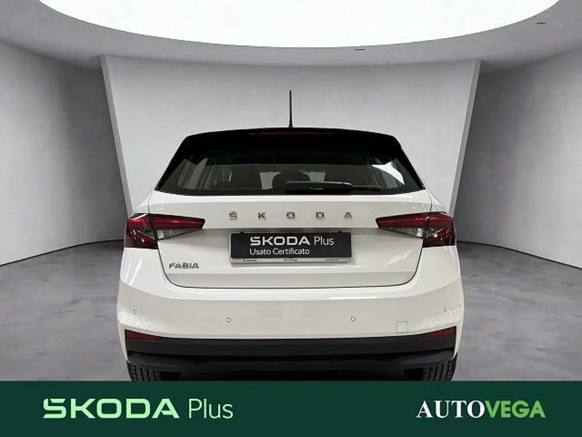 Skoda Fabia usata a Vicenza (5)