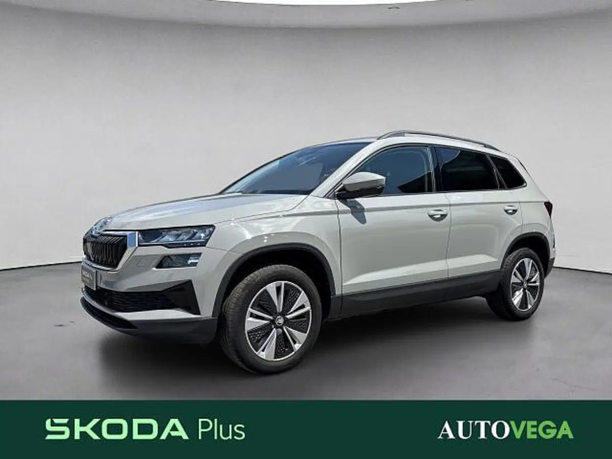 Skoda Karoq usata a Vicenza