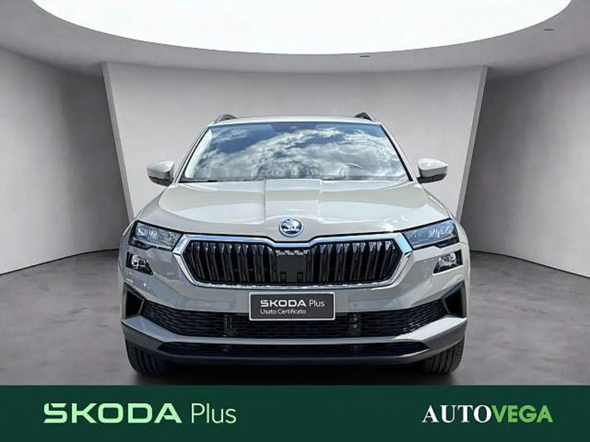 Skoda Karoq usata a Vicenza (2)