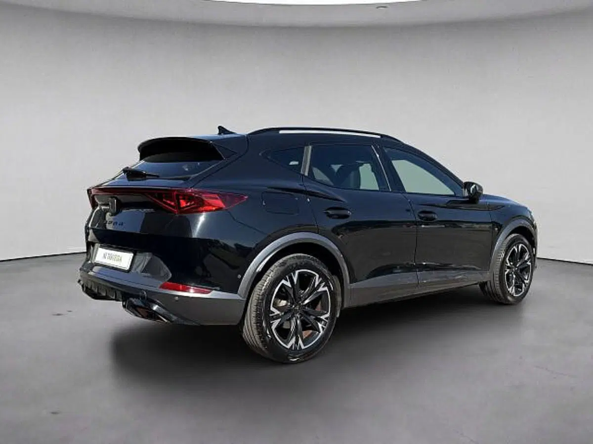 Cupra Formentor usata a Vicenza (4)