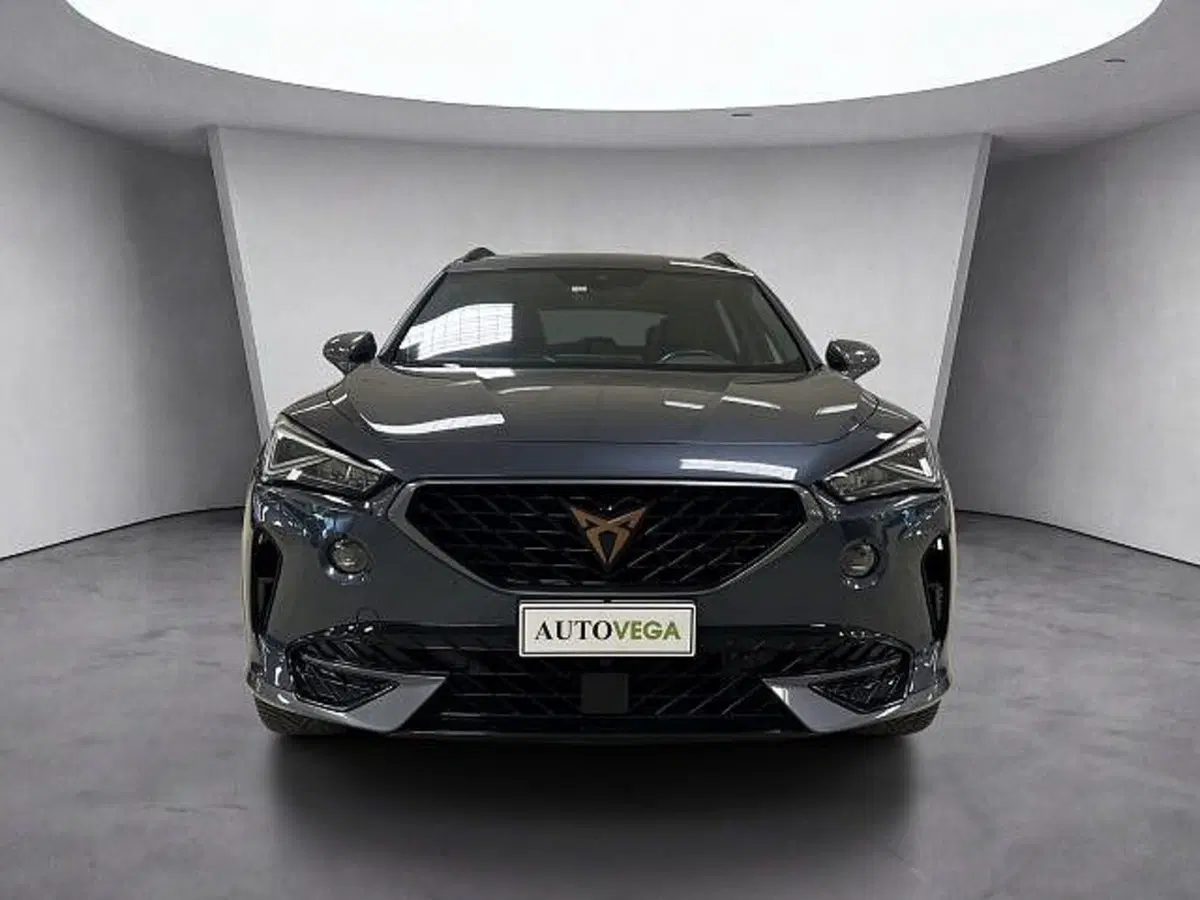 Cupra Formentor usata a Vicenza (2)
