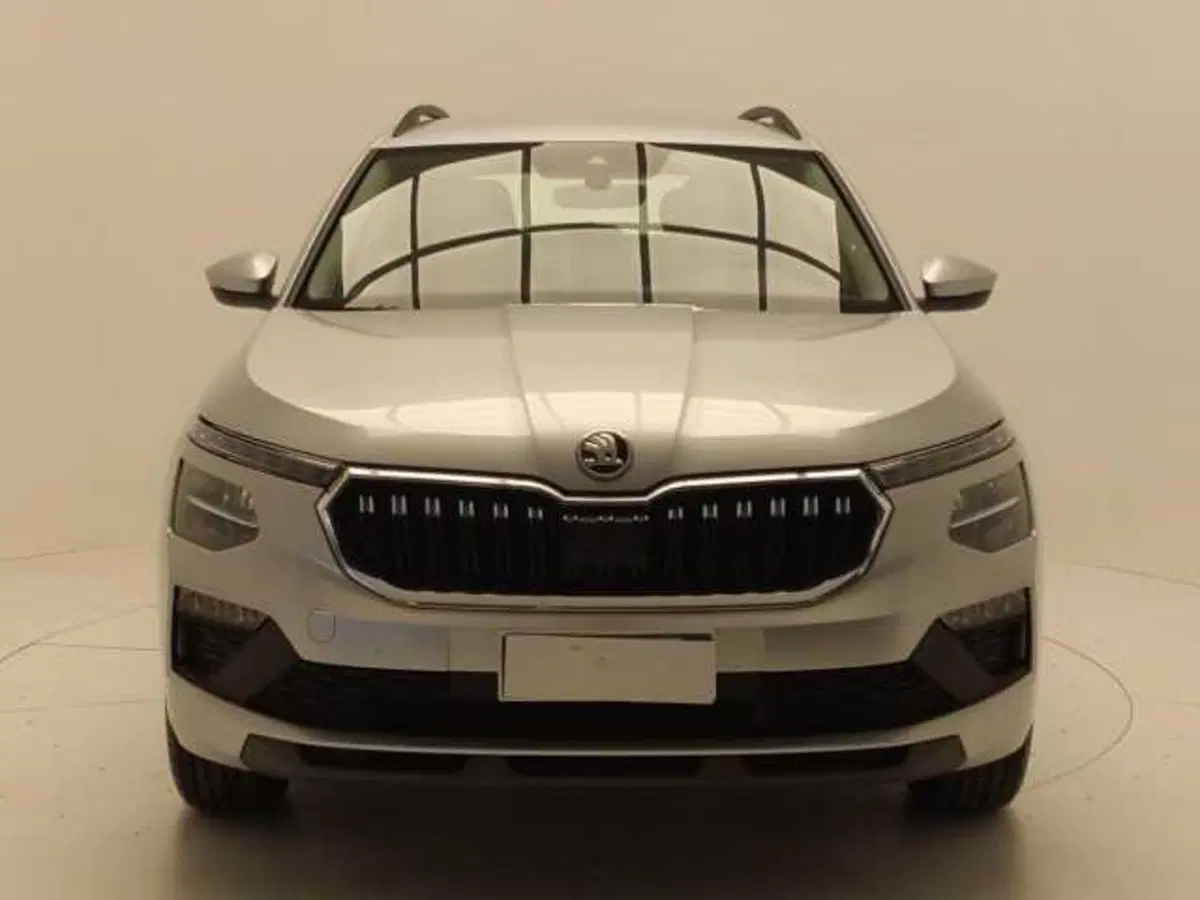 Skoda Kamiq usata a Avellino (2)