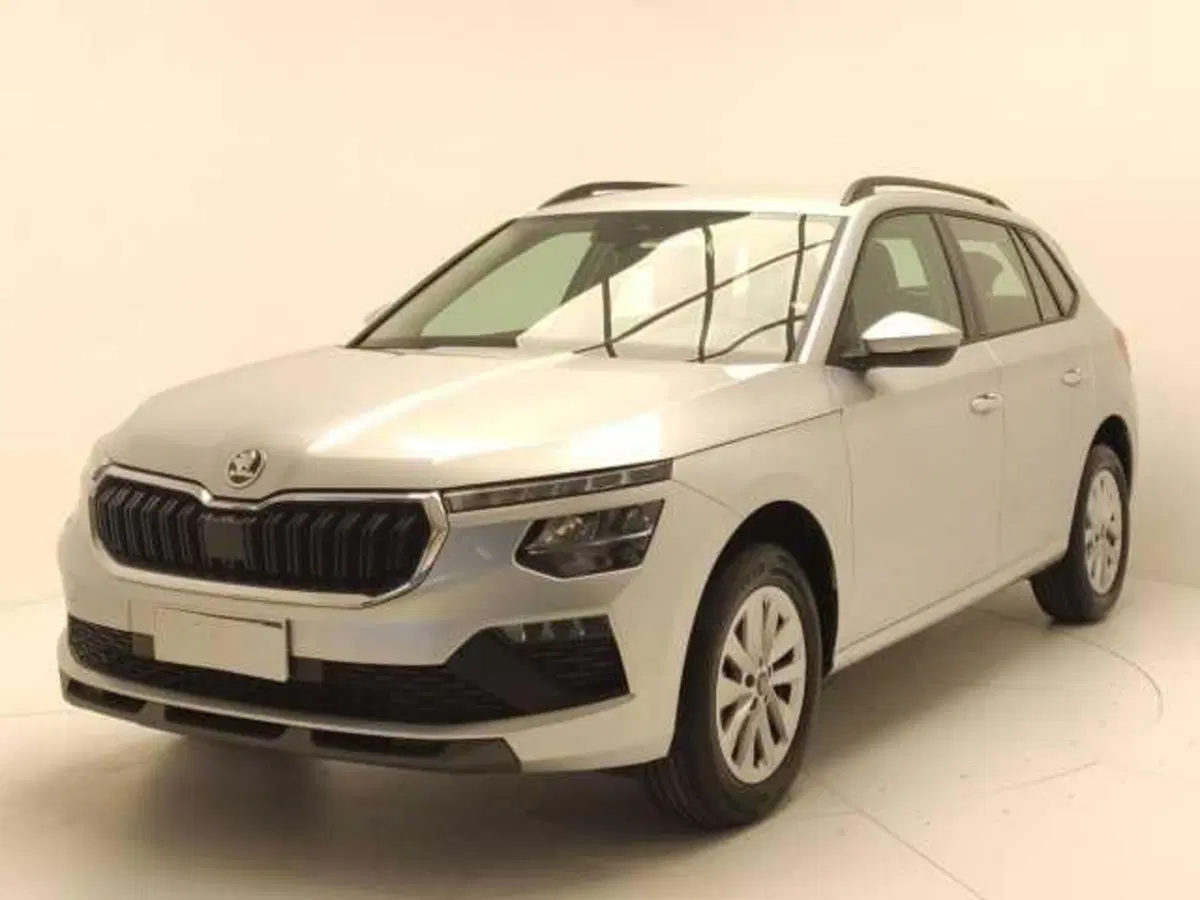 Skoda Kamiq usata a Avellino (3)